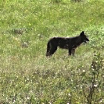 Screen Shot 2016-07-14 at 8.14.59 PM.jpg